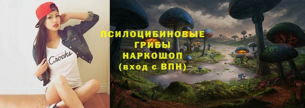 гидра Алексин