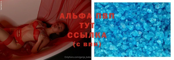 гидра Алексин
