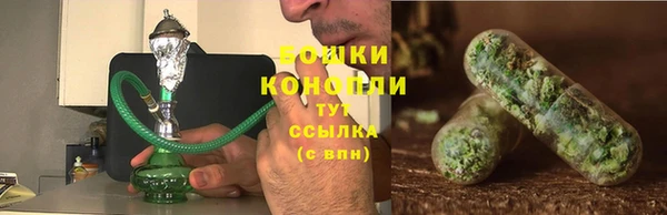ГАЛЛЮЦИНОГЕННЫЕ ГРИБЫ Лихославль