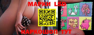 прущие крисы Аргун